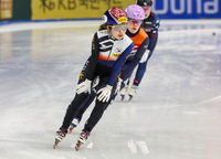 남녀 쇼트트랙 간판 황대헌·박지원·김길리, 안방 WC서 전종목 1위로 예선 통과