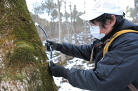 인제군, 2월 29일까지 임산물 직거래 택배비 지원 사업 신청 접수