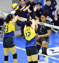 [포토]GS칼텍스 실바의 공격