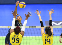 [포토]힘차게 공격하는 GS칼텍스 실바