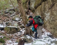 장성군, ‘자연이 주는 선물’ 고로쇠 수액 채취 시작