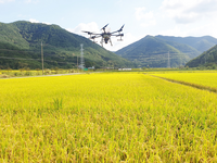 전북도, 2024년도 조사료 생산에 650억 지원