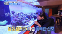 ‘김대호도 리스펙’ 집안에 해수어항→ 코끼리거북까지 취미 끝판왕 집공개(구해줘홈즈)