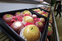 aT “올해 설 선물은 사과·배, 소고기 선호”