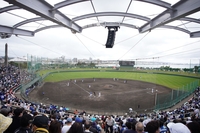 ‘日주니치 드래곤즈’ 담당 기자들이 ‘삼성 라이온즈’ 팬에 감동한 사연은? [황혜정의 두리번@@]