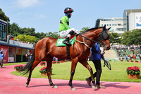 1등급 경주마 1600m 대결, 28일 렛츠런파크 서울서 진행