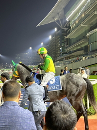 ‘벌마의스타’ 두바이 무대 두 번째 도전, 데뷔전 패배 설욕 나선다