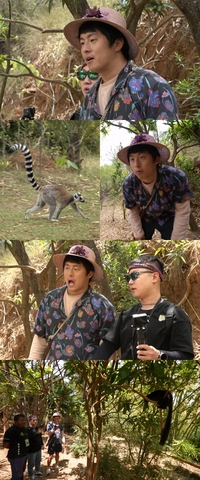 전설을 보는 기분…기안84·빠니보틀, 마다가스카르 상징 ‘알락꼬리여우원숭이’ 만났다 (태계일주3)