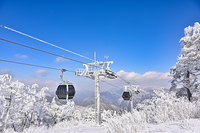 정선군 가리왕산 케이블카, 대한민국 대표 촬영명소 등극