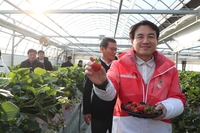 [포토]김진태 강원특별자치도지사, 강릉 딸기 농장 ‘페이머스 파머스’ 방문