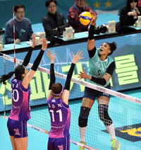 [포토]흥국생명의 높은 블로킹벽을 상대하는 GS칼텍스 실바