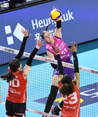 [포토]부상에서 돌아온 흥국생명 윌로우