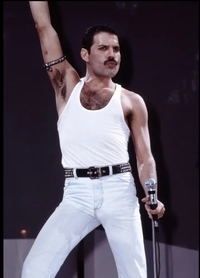 故 프레디 머큐리 마지막 저택 가든 로지, 시가 500억원에 매물로 나왔다[할리웃톡]