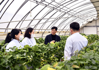 장수군, 제2기 농군사관학교 미래형 사과반  다축 · 밀식 등 입학생 모집
