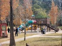 담양군, 어린이 프로방스 노후 시설 개선한다