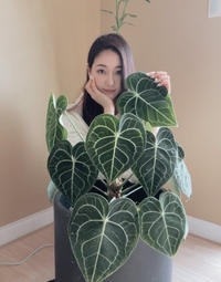 46세 김사랑, 꽃잎보다 작은 소멸 직전 얼굴..역시 미스코리아 출신