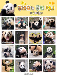 에버랜드, 판다 이모티콘 4탄 ‘푸바오는 우리 언니’ 인기 폭발···공개 하루 만에 1위