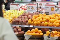 오렌지·바나나, ‘무관세’에도 가격 올랐다…망고는 싸져