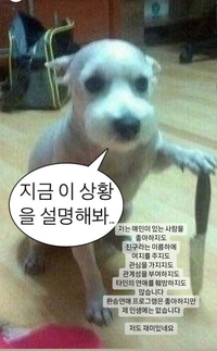 ‘류준열 환승연애’ 한소희 “내 인생에 ‘환승연애’ 없다…저도 재밌다”