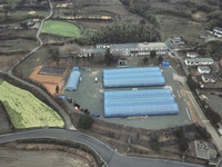 진도군, 직영 양묘장 예산절감 효과 ‘톡톡’