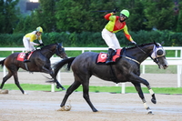 퀸즈투어 S/S 제1관문, 제27회 동아일보배 24일 개최