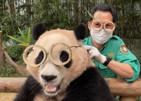 강철원 사육사, 모친상→푸바오 귀국 돕는다...뭉클한 자필편지 공개 [전문]