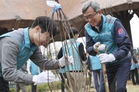 청백리 정신의 매화나무로 한국마사회 식목행사