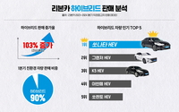 두개의 심장 하이브리드, 신차 넘어 중고차 시장도 접수한다[SS포커스]