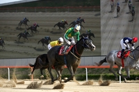 ‘석세스백파’ 이변의 경주, KRA컵 마일 우승