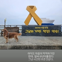 아직도 가슴에 남은 상처…연예계, 세월호 10주기 맞아 행사 자제 [SS연예프리즘]