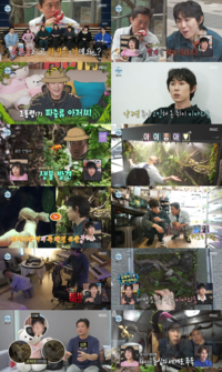 코드 쿤스트, 김대호에 이어 ‘2대 파충류 아저씨’ 등극(‘나혼산’)