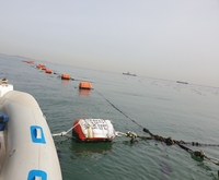 경기도, 7월 19일까지 양식장 관리 실태 조사