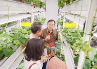 담양군, ‘죽향’‘메리퀸’ 딸기...세계화에 앞장