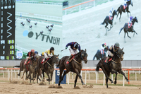‘글로벌히트’, 스테이어 시리즈 제2관문 YTN배 정상