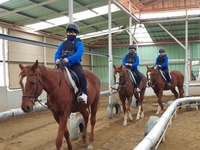 한국마사회 사회공헌재단, 마·농(馬農) 문화체험 전국 확대 시행