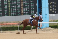 트리플 티아라 시리즈 제2관문, ‘제25회 코리안오크스’ 5일 개최