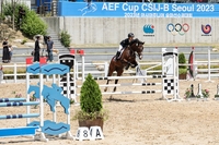 렛츠런파크 서울서 ‘KRA컵 아시아 주니어 승마대회’ 개최