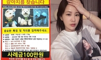 김지민, ‘짜루캠핑’ 반려견 실종에 공개 도움 요청...“꼭 좀 눈여겨 봐주세요”