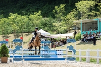 아시아 12개국 청소년 참가 ‘KRA컵 아시아 주니어 승마대회’ 개최