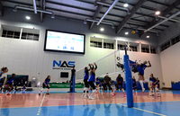 “지난해보다 낫지 않다” 우려 속 시작한 트라이아웃, 여자부 7구단의 선택은?