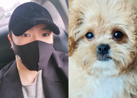 휘성, 펫숍 입양 고백·품종 사기 저격…“점원도 잘 몰랐다”