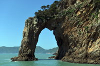 하루만에 즐기는 흑산도 투어, ‘홍어의 고향’ 흑산도를 비롯해 홍도에 버금가는 영산도와 람사르 습지로 유명한 장도까지