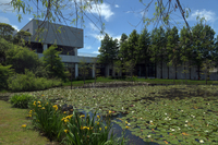 [포토] 제주 본태(本態)박물관, 안도 다다오의 숨결이 콘크리트로 옮겨졌네...