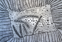 [포토] 쿠사마 야요이가 사랑한 제주 본태(本態)박물관, 작품도 위대해~