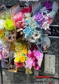 자이언트핑크, 故박보람 추모..“보람아 잘가”