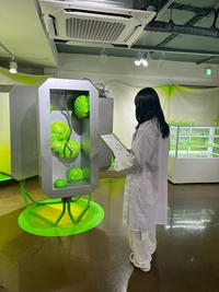 서학예술마을도서관, 고지은 작가 기획전시... 오는 25일까지 도서관 담쟁이갤러리서 진행