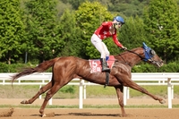 최우수 국산 3세마 가리자! 제24회 농림축산식품부장관배