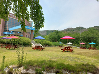 동해시, 청소년수련관 숲속놀이터 조성