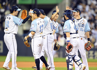 ‘4강’ 체제로 재편성된 2024 KBO리그…주말시리즈서 선두 바뀔까 [SS 시선집중]