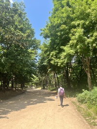 제1회 ‘서울 K-맨발걷기 페스티벌’ 6월 29일 서울숲서 개최